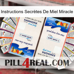 Instructions Secrètes De Miel Miracle kamagra1